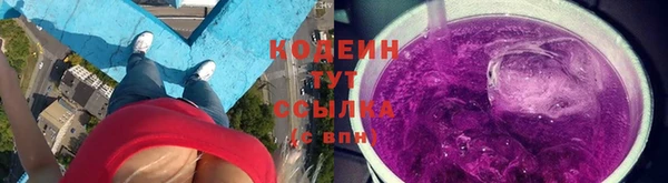 прущие грибы Балахна