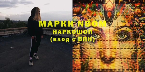 прущие грибы Балахна